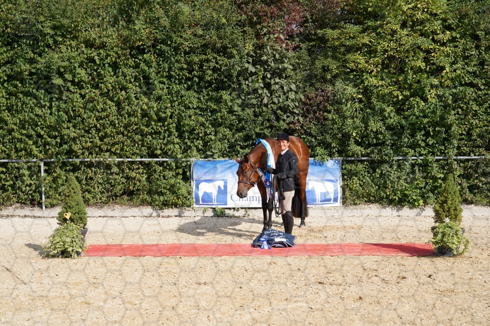 s_A7_01709.jpg